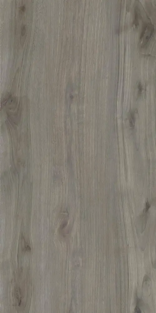 Forest Dark Grey Porcelain Tile — wood-look porcelain & ceramic tile, available at The Tile Store, Fort Lauderdale