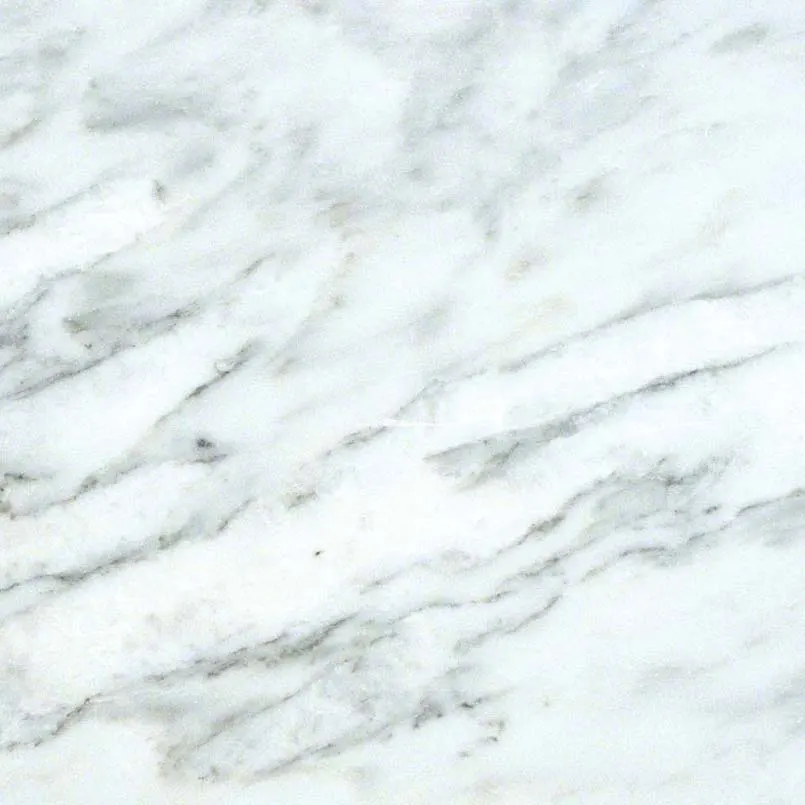 Arabescato Carrara Marble Tile — marble-look natural stone, available at The Tile Store, Fort Lauderdale
