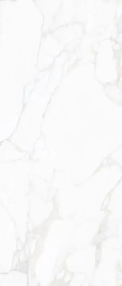 Calacatta White Porcelain Slab — marble-look porcelain & ceramic tile, available at The Tile Store, Fort Lauderdale