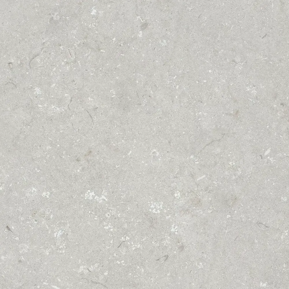 Ultra Shellstone Bianco Porcelain Tile — stone-look porcelain & ceramic tile, available at The Tile Store, Fort Lauderdale