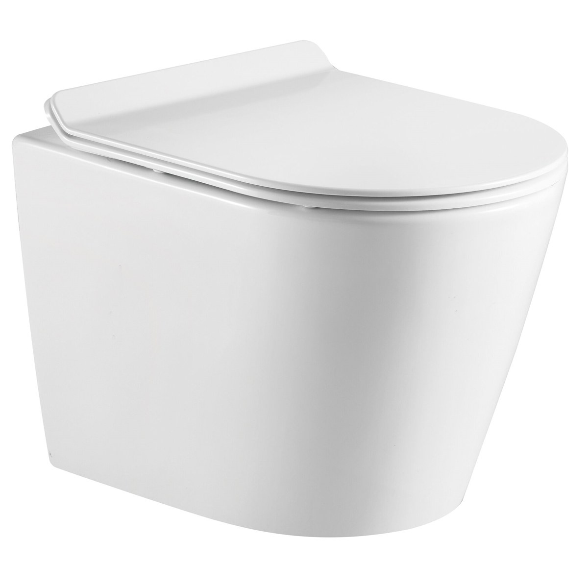 Ashcombe Wall-Mounted Elongated Toilet Bowl